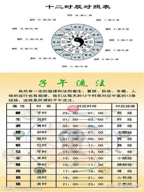 兔年天干地支|天支地支 十二时辰对照表